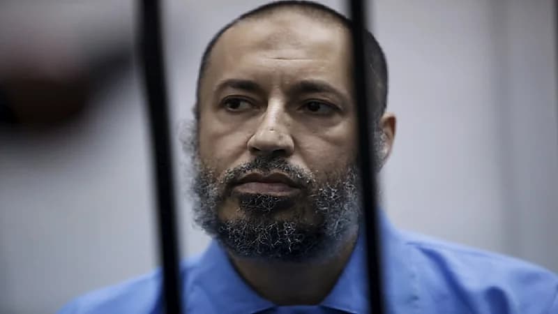 نجل القذافي يطير إلى تركيا بعد الإفراج عنه