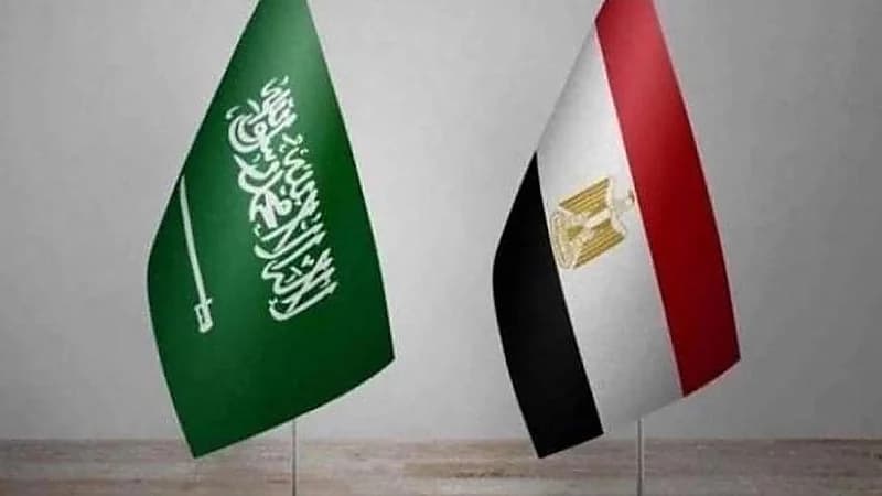 المملكة ومصر تشكل فريقاً لمواجهة التحديات في البحر الأحمر