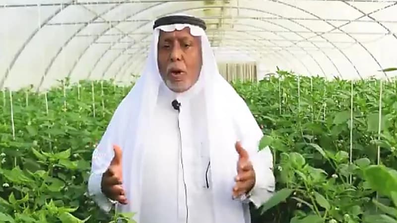 بالفيديو .. قصة معلم قرر التقاعد ليتفرغ للزراعة في جازان