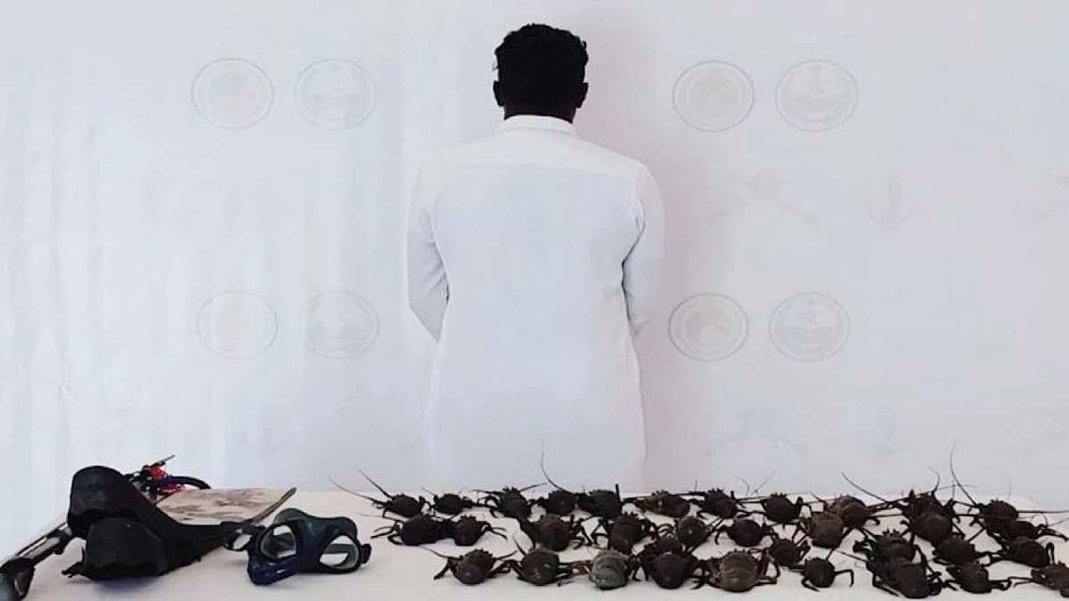 ضبط مواطن يمارس الصيد المخالف في أملج