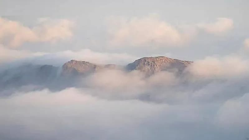 تنبيه لأهالي ينبع والرايس من حالة ضباب