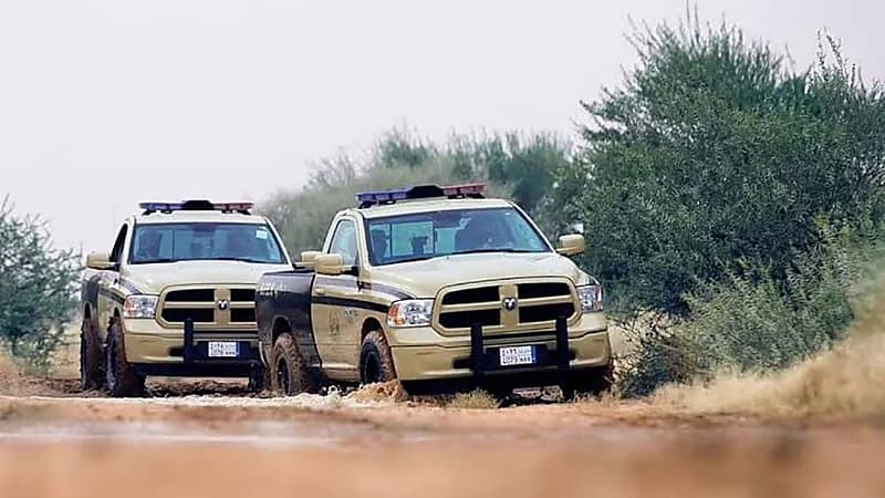 ضبط مخالفًا لارتكابه مخالفة رعي بمحمية الأمير محمد بن سلمان الملكية