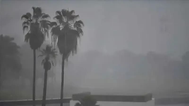 خسائر في الأرواح والممتلكات إثر سيول ضربت الجزائر.. فيديو