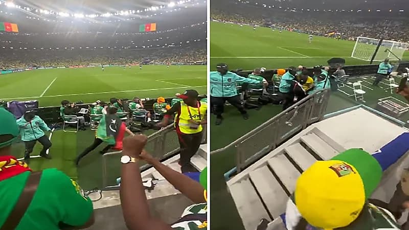 بالفيديو .. مشجع يحاول الدخول لأرضية الملعب