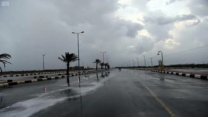 بالفيديو.. حالة الطقس المتوقعة يوم الجمعة