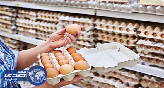فضيحة البيض الملوث تغلق 144 مزرعة دواجن بهولندا