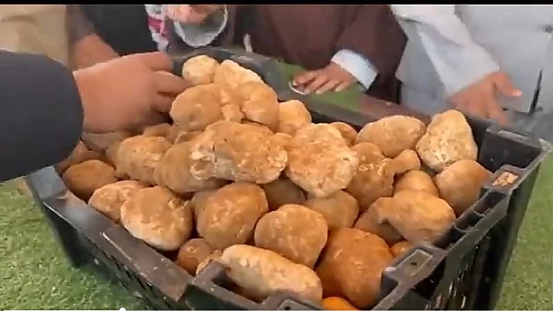 بالفيديو.. بيع 40 كيلو من الفقع بـ 35 ألف ريال في رفحاء