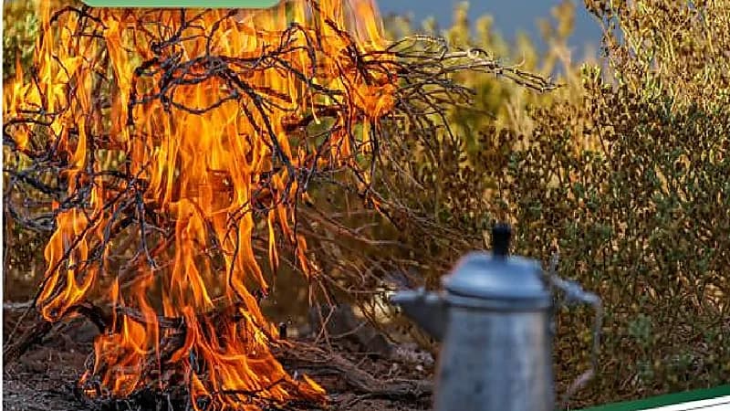 ضبط 4 مخالفين أشعلوا النار في أراضي الغطاء النباتي