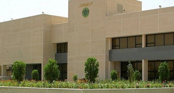 3389 موظفًا حكوميًا وموظفة يلتحقون بـ 114 برنامجًا تدريبيًا بـ " معهد الإدارة " .. غدًا