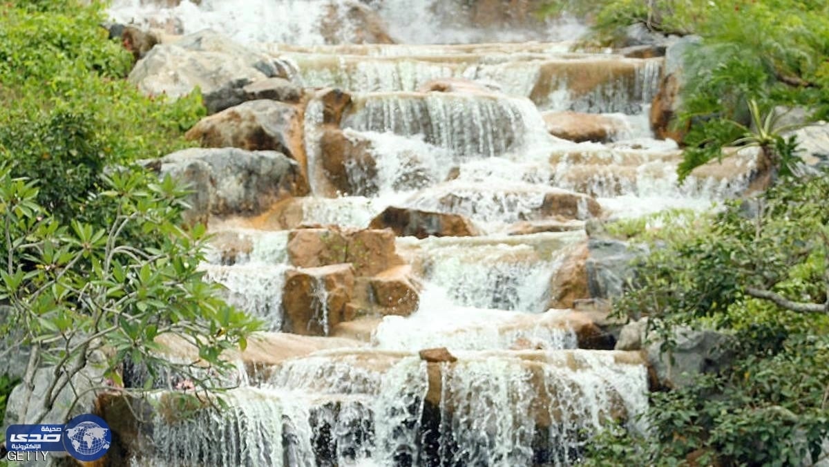 شجرُ يقتل عشرات المواطنين بغانا