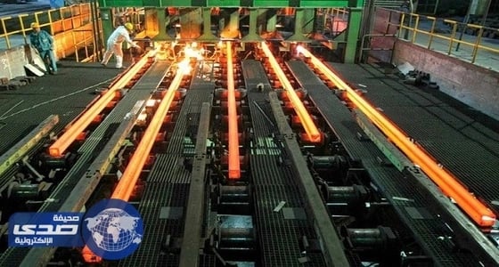 أطعمة تحتوي على معدن الحديد