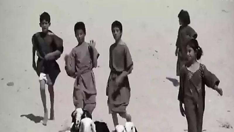 بالفيديو .. قصة المثل الدارج "إن جاك ولد سمه موضي"