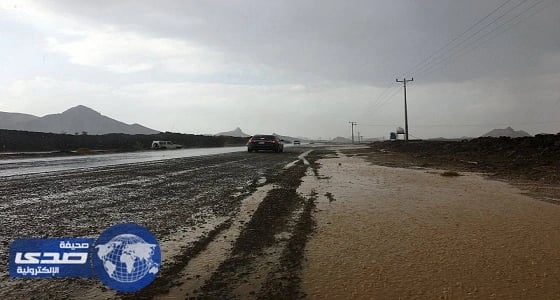بالصور.. هطول أمطار متوسطة على أملج