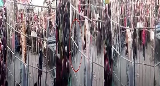 بالفيديو.. نمر يهاجم أطفال داخل سيرك