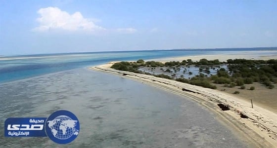 خبير أمريكي يحذر من كارثة تهدد حياة المواطنين بالمملكة