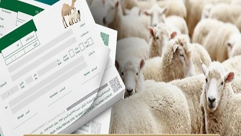 "النيابة العامة": انتهاك تعليمات بيع سندات الهدي والأضاحي تؤدي للمُساءلة الجزائية