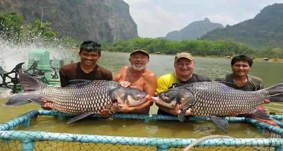 بالأسماء.. أكثر 10 دول انتاجا للأسماك