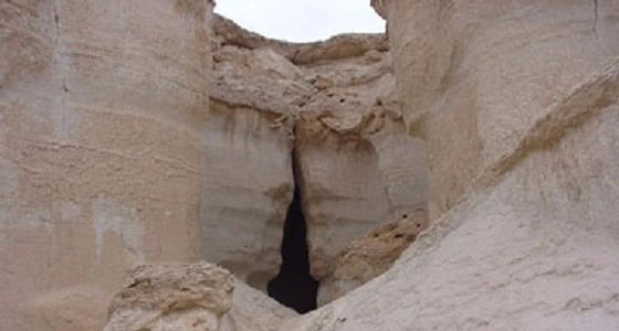 بالفيديو.. تونسي يعيش في مغارة ويقتات على الديدان