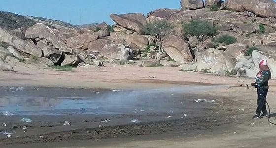 أمانة الطائف تتخلص من 300 كلب ضال.. وتستنفر للتعامل مع الأمطار