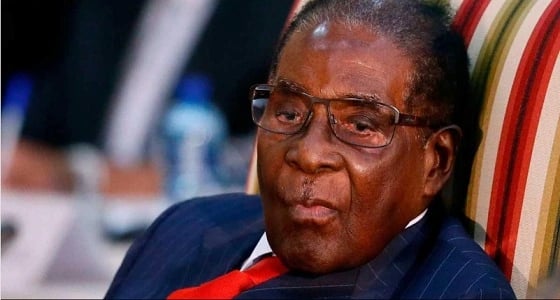 التمساح رئيساً لـ " زيمبابوي " خلفاً لـ " موغابي "