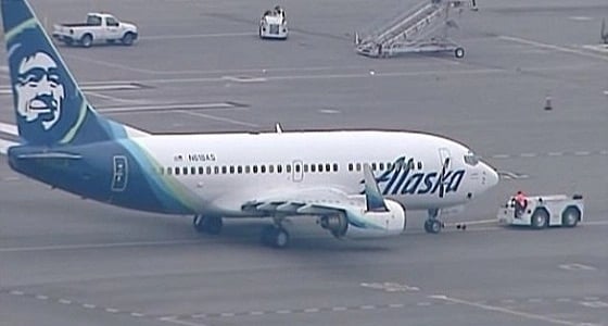 إلغاء رحلة طائرة أمريكية بسبب فأر