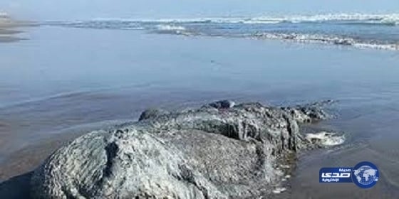 بالصور ..سعوديون على الطرق المؤدية إلى الحرم يصلحون السيارات المتعطلة