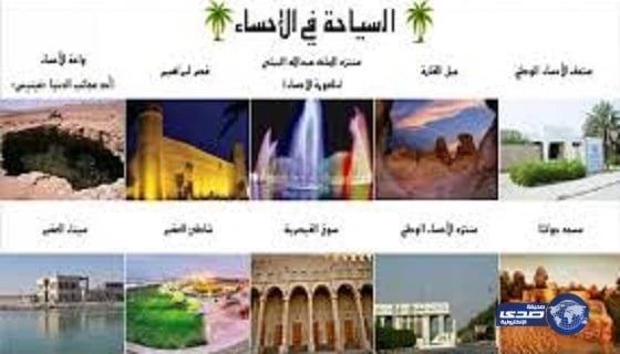 بالفيديو.. محتال يشتري 12 خروفا من مواطن مقابل 10500 ريال مزورة