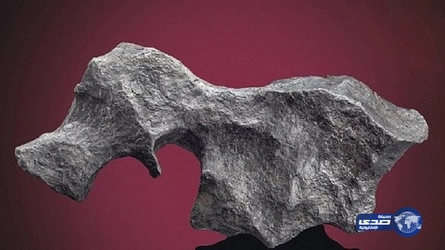 الكشف عن هوية مُنفذ تفجير بطرسبرغ بروسيا