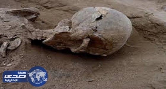 جمجمة طفل تكشف حقائق التطور البشري