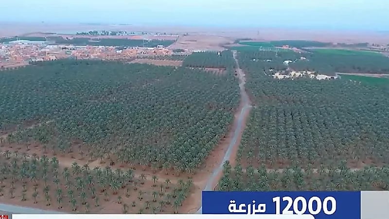 فيديو .. كيف تحولت القصيم إلى سلة غذاء المملكة خلال 5 سنوات؟