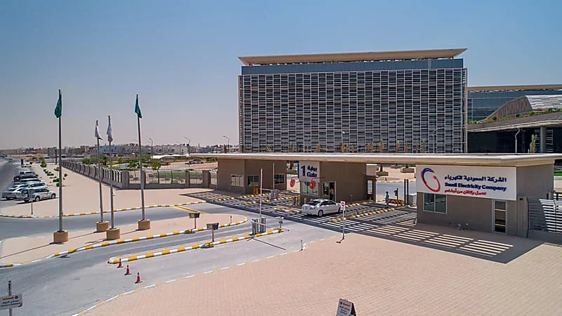 "السعودية للكهرباء": المقاول أخطأ بانتزاع الأشجار في وادي نجران وسنحاسب المقصر