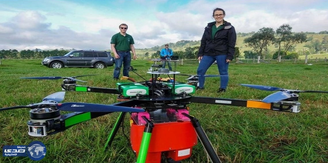 فريق بحثي يٌصمم طريقة فريدة لزراعة مليار شجرة خلال سنة واحدة