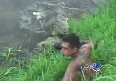 بالفيديو ... كاد يفقد حياته من أجل صورة!