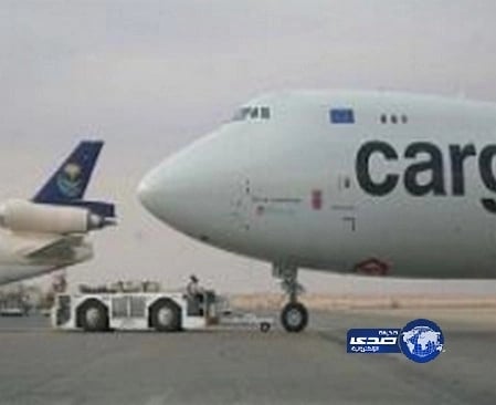 قط يهاجم طياراً لدى إقلاعه بمطار الرياض ويتسبب بإلغاء الرحلة