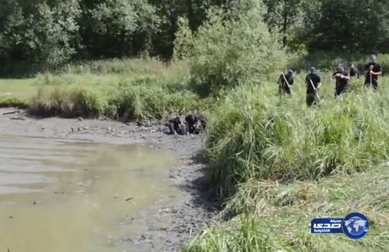 بالفيديو.. الشرطة البريطانية تجفف بحيرة للبحث حول مقتل “ناهد الزيد”