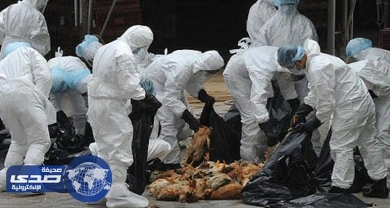 الفلبين تسجل أول إصابة بإنفلونزا الطيور