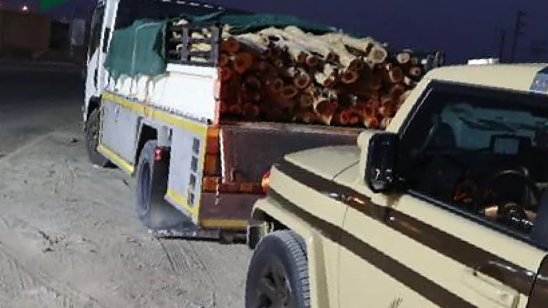 ضبط مخالفًا لنظام البيئة لبيعه حطبًا محليًا