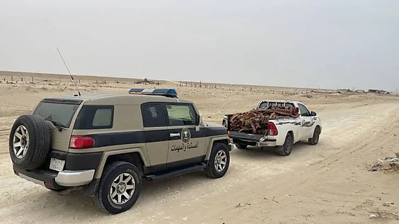 دوريات الإدارة العامة للمجاهدين بالمنطقة الشرقية تضبط مخالفًا لنظام البيئة