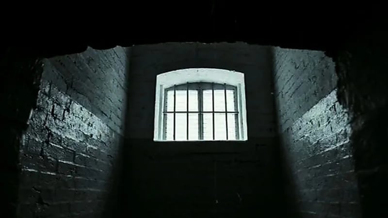 بالفيديو.. قصة سجين بالعصر الأموي صارع أسدًا لإطلاق سراحه