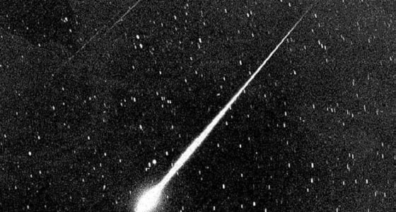 ناسا تكشف عن نيزك بحجم الحوت الأزرق يقترب من الأرض