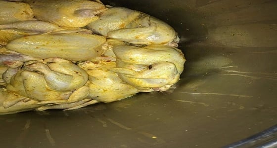 بالصور.. أمانة المدينة تضبط 152 كيلو أغذية فاسدة بقباء