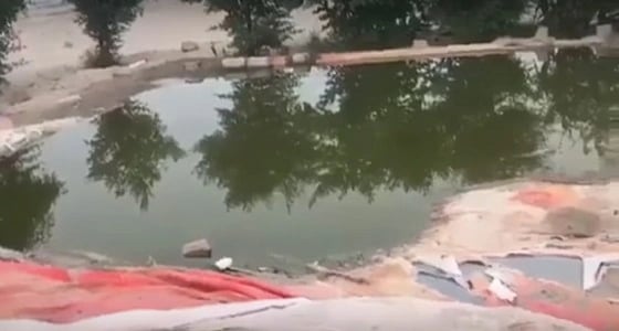 بالفيديو..فاعل خير ينشيء بحيرة ويضع الطعام للطيور المهاجرة في الصحراء