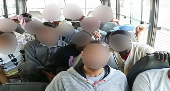 بالصور.. ضبط 7 عربات غير مصرحة في حي المسفلة