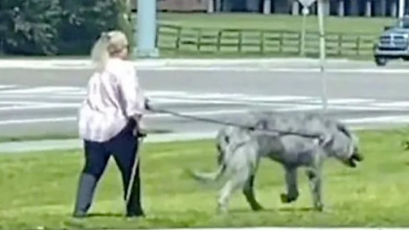 سيدة تثير جدلاً واسعًا بين رواد الـ سوشيال ميديا بعد ظهورها بصحبة وحش