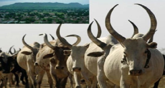 إلزام شخصين بدفع 62 رأسا من الأبقار دية وفاة عقيد جنوب السودان