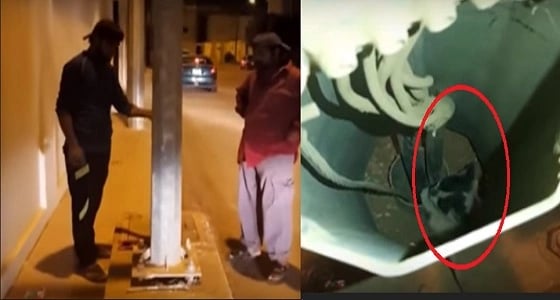 بالفيديو..إنقاذ قطا تعلق في عمود إنارة بالمجمعة