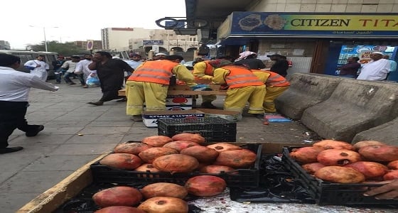 بالصور.. ضبط 29 عاملًا يمارسون البيع الجائل بأحياء متفرقة