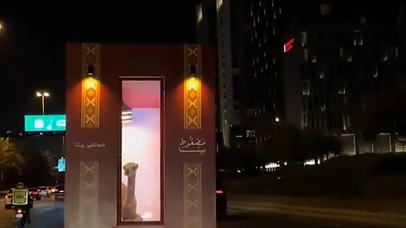 حاشي يتجول في شوارع الرياض على أنغام محمد عبده.. فيديو