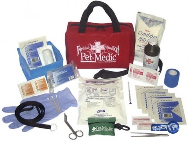 مدرب رياضي : المكملات لا تزيد الوزن واستهلاك السعرات يسبب تراكم الدهون( فيديو)