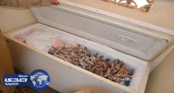 معلمة تتبنى مشروع " حينا أجمل " بعسير